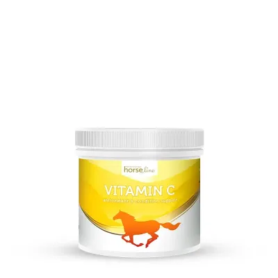 Vitamin C für Pferde – zur Unterstützung des Immunsystems und der Kollagenbildung