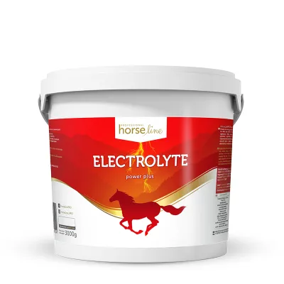 Elektrolyte PowerPlus - Flüssigkeitshaushalt und Regeneration mit Magnesium