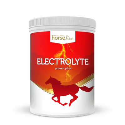Elektrolyte PowerPlus - Flüssigkeitshaushalt und Regeneration mit Magnesium