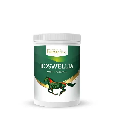 Boswellia Serrata – Weihrauch für Pferde mit MSM und Vitamin C