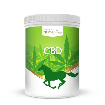 CBD - Unterstützung für Ausgeglichenheit und Konzentration